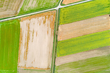 geometric shapes of farmland in a vast landscape, aerial drone zenithal view
