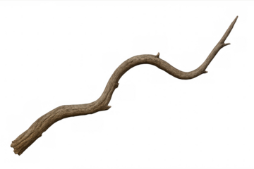 Weathered wooden branch curving naturally, isolated on transparent backdrop, perfect for design compositions