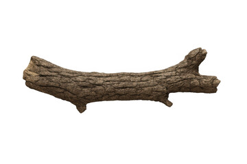 Fototapeta premium Weathered dry tree branch floating against transparent backdrop, serving graphic design and artistic composition needs