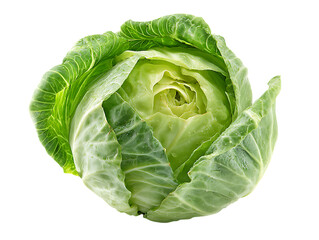 cabbage on white background