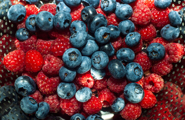 summer fresh ripe berries blueberries and raspberries