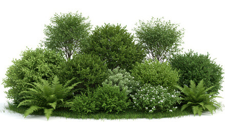 Green group garden bushes, shrub flowers and grass on white background