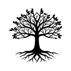 Obraz premium Oak tree with roots silhouette