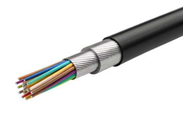 Close-Up View of a Multi-Strand Cable Assembly for Telecommunications and Data Transmission Infrastructure
