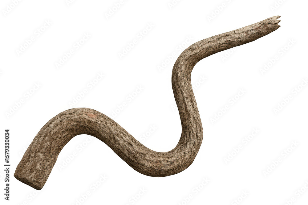 Poster gnarled tree branch with textured bark curving gracefully against a transparent background, creating