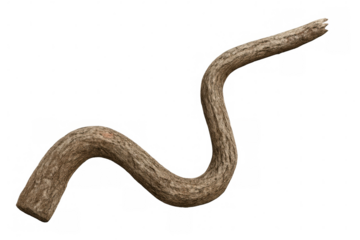 Gnarled tree branch with textured bark curving gracefully against a transparent background, creating a natural and organic element