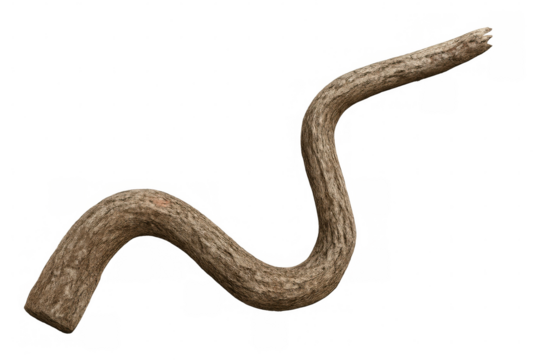 Gnarled tree branch with textured bark curving gracefully against a transparent background, creating a natural and organic element