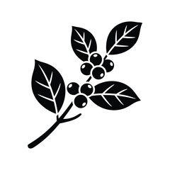 Stylized black and white illustration of a coffee branch with berries and leaves © MSTTARZINA