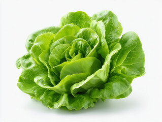 green lettuce isolated on white background