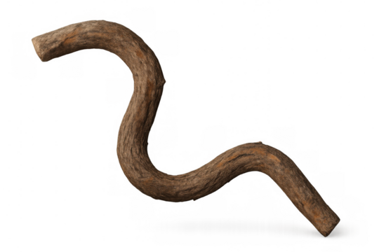 Weathered tree branch curving serpentinely, gnarled texture highlighting natural wood grain against transparent backdrop