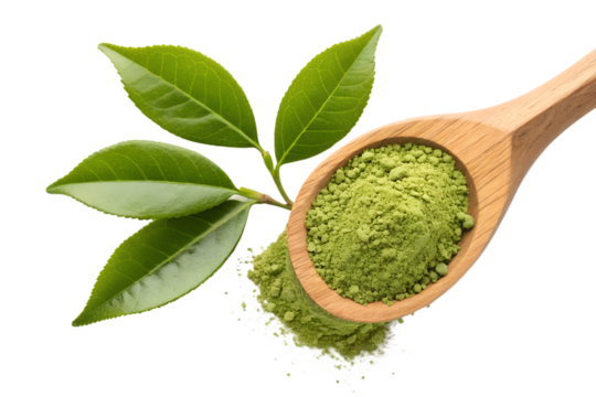 Fresh green tea leaves and matcha powder in wooden spoon isolated on transparent background