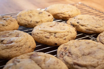 homemade chocolate chip cookies ready to eat