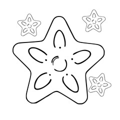 Outlined illustration of a starfish with surrounding smaller starfish shapes.