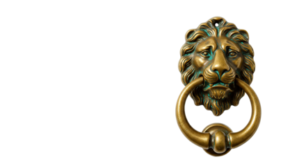 Antique lion head door knocker brass metal vintage home decor entrance hardware design element ornate detail 100
