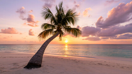 Serene tropical beach with a solitary palm tree at a colorful sunset