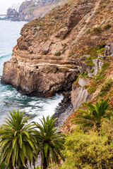 Paisaje en Rambla de Castro, Municipio de los Realejos, isla de Tenerife.