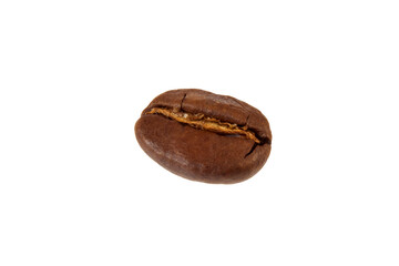 a single big coffee bean macro close-up isolated on white or transparent png