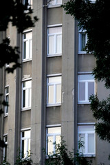 Facade of old concrete residential building with multiple white-framed windows, visible wear and cracks, surrounded by green tree branches, urban living environment.
