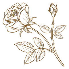 Luxury Golden Rose Line Art Background Vector Botanical Floral Illustration