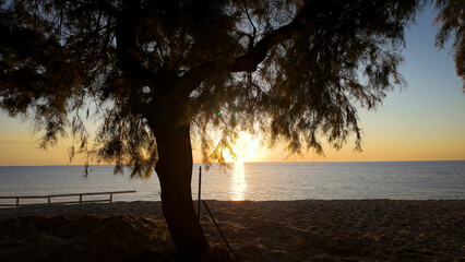 Sun setting over the Tyrrhenian Sea from a beach in Tropea, Calabria, Italy, with a tree silhouette in the foreground