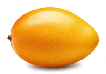 A single ripe orange mango with a brown stem isolated on white background