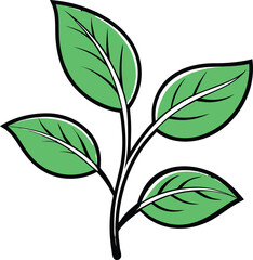 Fototapeta premium Adobe Illustrator Artwork