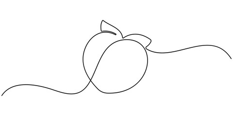 peach fruit continuous one line drawing, Peach fruit in continuous line art drawing style. Simple black sketch made of one line isolated on white background, Fresh peach continuous one line drawing.