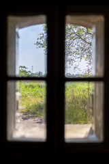 Looking through an old wooden window at a sunlit rural landscape with tall grass, trees, and a...