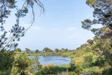 Lagoon and Coastal Vegetation on Île Sainte-Lucie, France with View of the Mediterranean Sea