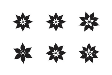 Obraz premium poinsettia flower vector art