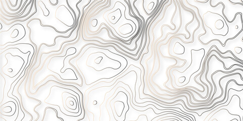 Abstract background with topographic map waves image. Brown contour line on white background.