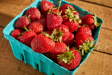 A punnet of fresh strawberries grown in Lancaster County, Pennsylvania, USA