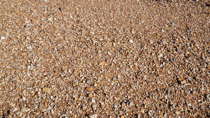 close up of grains on the beach