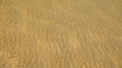 Ripples on the Submerged Sand