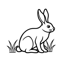 A rabbit sitting in grass on a hare bunny