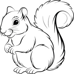 Detailed Line Art of a Squirrel Illustration on  transparent background