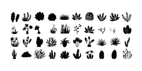 30 Succulent Plant Silhouette Variations on Transparent Background