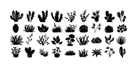 Fototapeta premium Set of 30 cactus and succulent silhouettes vector