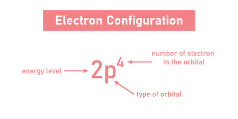 Parts of Electronic Configuration. Type of Orbital. Number of Electron in the Orbital. Energy Level.