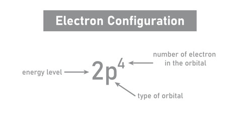 Parts of Electronic Configuration. Type of Orbital. Number of Electron in the Orbital. Energy Level.