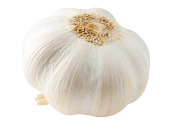 One bulb of raw garlic cut out