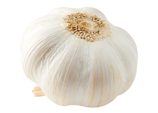 One bulb of raw garlic cut out