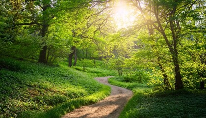Obraz premium a gentle dirt path winds through vibrant greenery inviting visitors to explore nature s beauty in spring sunlight filters through the leaves enhancing the tranquil atmosphere