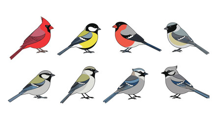 A collection of beautiful winter birds gathering together for a picturesque outdoor scene
