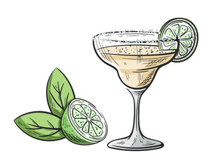 Margarita cocktail with lime hand drawn isolated on white background. Vintage sketch of alcoholic drink glass. Colorful party cocktail. Vector illustration