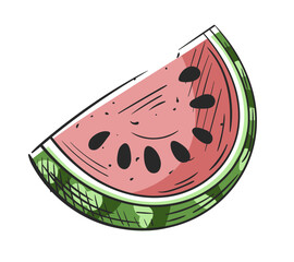 Watermelon half hand drawn isolated on white background. Vintage colorful design. Sketch of watermelon in section. Vector illustration