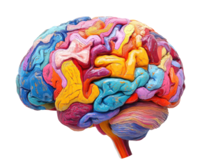 Exploring brain functionality and color patterns scientific study lab isolated on transparent background