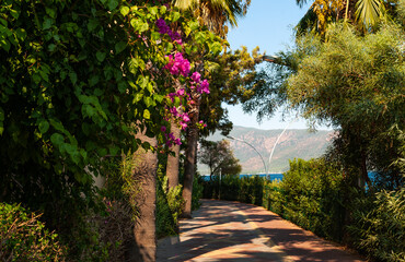 Obraz premium Promenade along the Mediterranean coast in Marmaris, with lush vegetation and flowers 