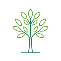 Obraz premium Green outline tree illustration with leaves and trunk on a white background vector