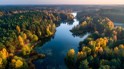 Naklejka premium Aerial Drone View of Forest-Surrounded Winding Lake